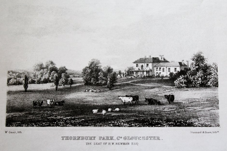Thornbury Park House Lithograph Engraving 1852